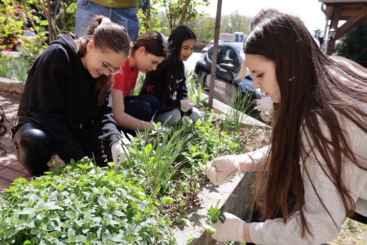 Föld Napja iskolánkban
