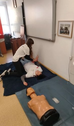 BLS2.jpg